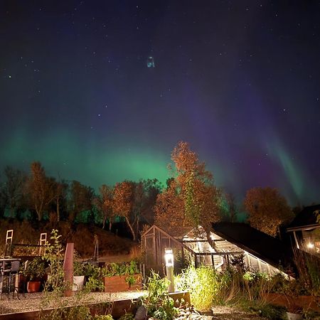 Hakoya Lodge 트롬쇠 외부 사진